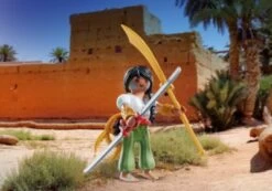 PLAYMOBIL® 2er Set: Kämpferin + Pirat Mit Kanone -Playmobil Spielwaren 29682645 03